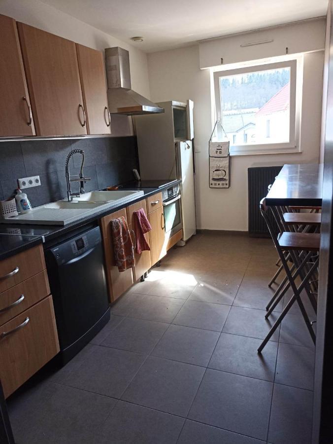 Appartement Gauche Avec Balcon Hargarten-aux-Mines Exteriér fotografie