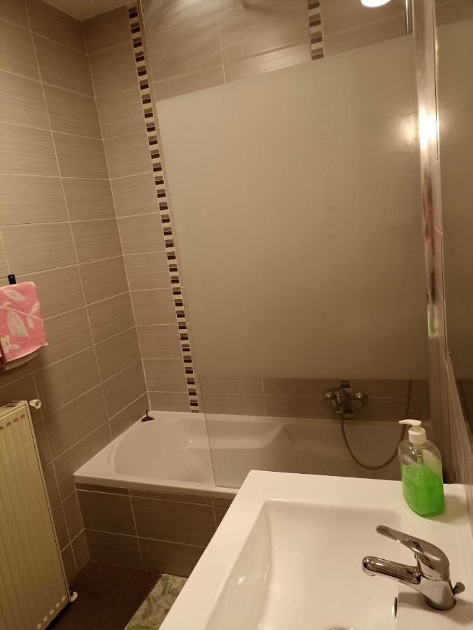 Appartement Gauche Avec Balcon Hargarten-aux-Mines Exteriér fotografie